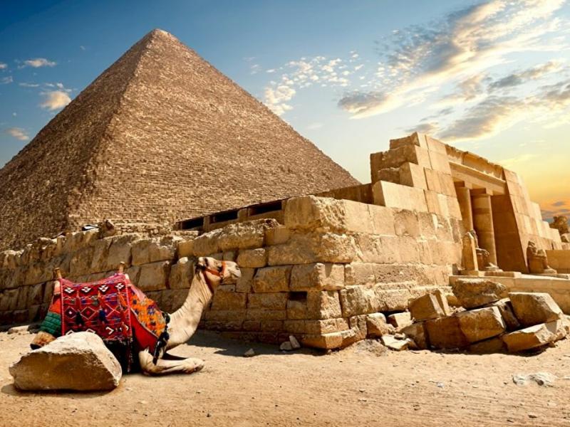 Отдых в египте плюсы и минусы